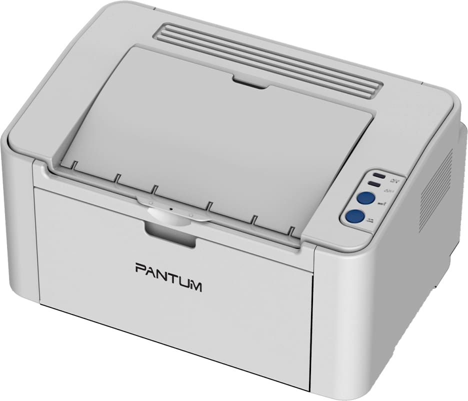 Принтер лазерный монохромный Pantum P2200 - фото 2