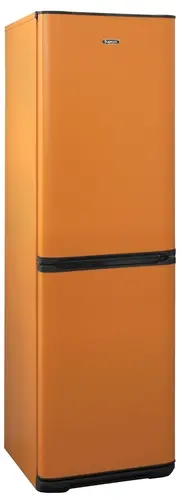 Холодильник Бирюса T340NF оранжевый - фото 1