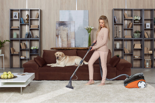 Пылесос моющий Thomas AQUATIC LYNX - фото 8 Пылесос моющий Thomas AQUATIC LYNX - фото 8