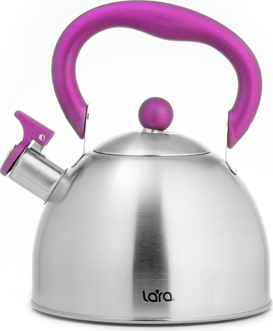 Чайник со свистком LARA LR00-62 матовый