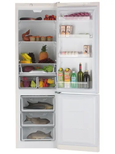 Холодильник Indesit DS 4200 E бежевый - фото 2