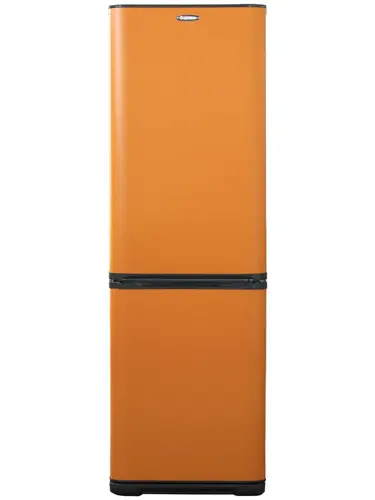Холодильник Бирюса T320NF оранжевый - фото 3