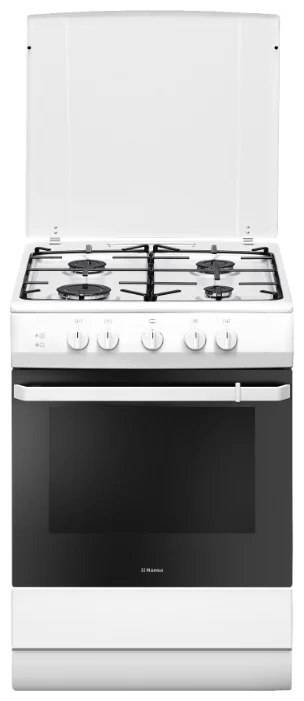 

Газовая плита Hansa FCGW61009 белая