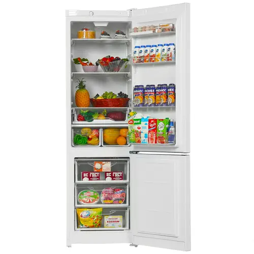 Холодильник Indesit DS 4200 W белый - фото 2