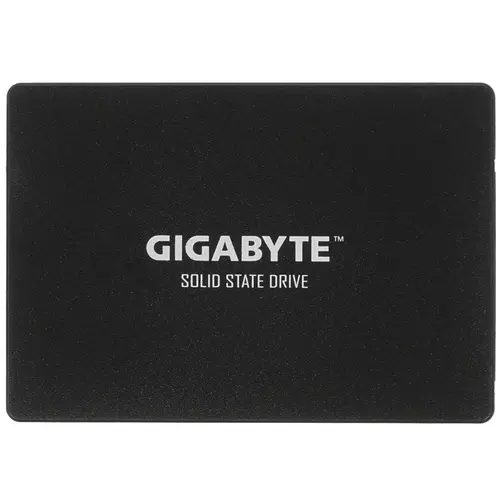 SSD диск Gigabyte GP-GSTFS31256GTND 256Gb SSD диск Gigabyte GP-GSTFS31256GTND 256Gb