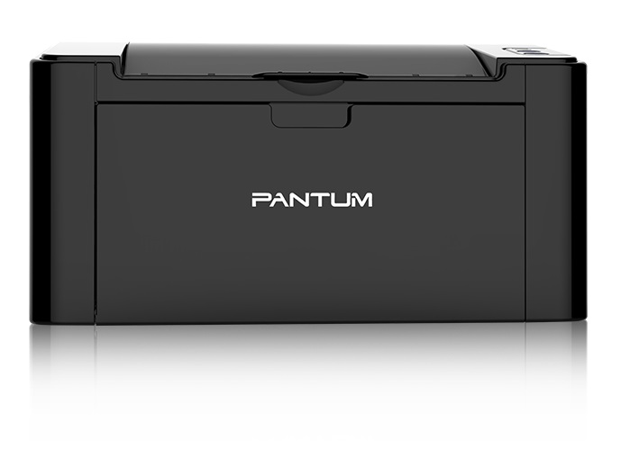 Принтер лазерный монохромный Pantum P2516 черный - фото 6