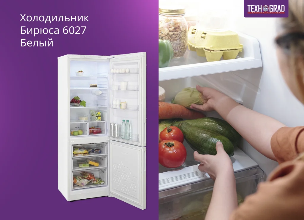 Холодильник Бирюса 6027 Белый