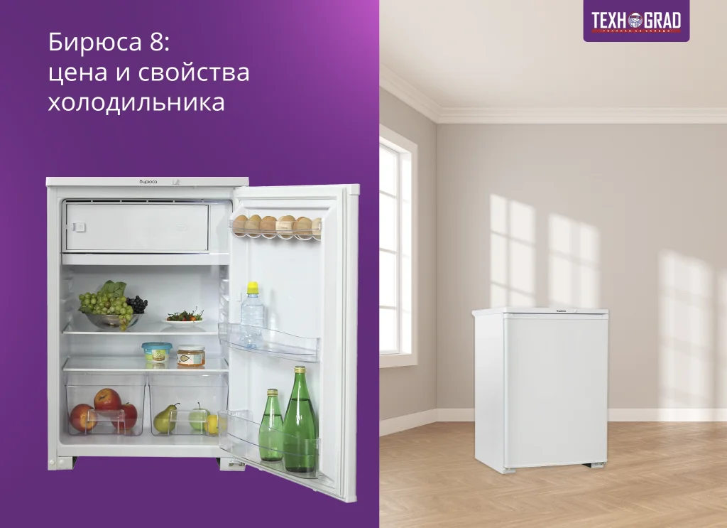 Бирюса 8: цена и свойства холодильника