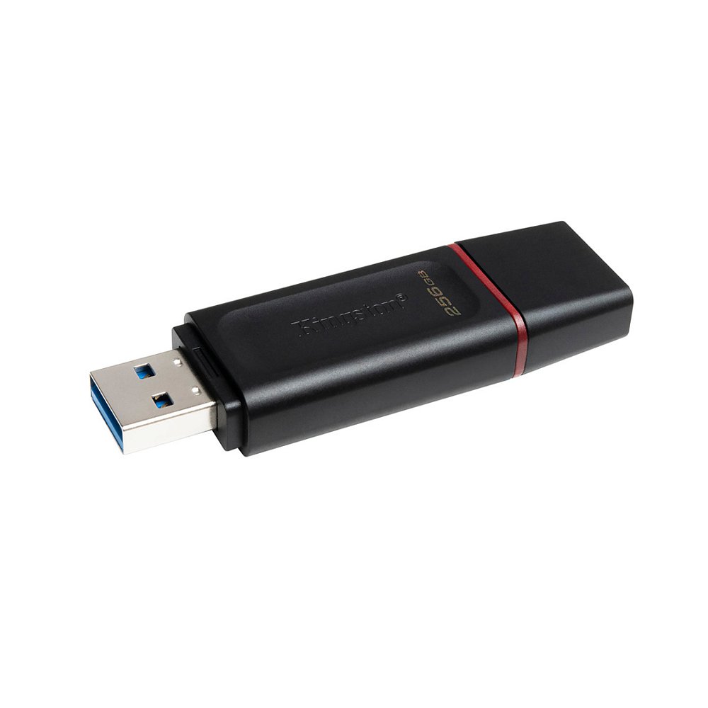 USB-накопитель Kingston DTX/256GB 256GB Чёрный - фото 3