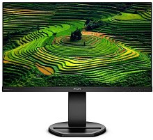 Монитор LCD 241B8QJEB/01 23.8'' 16:9 1920х1080(FHD) IPS, 75 Hz, 250cd/m2, 5ms, VGA, HDMI, USB-Hub, Height, Pivot, Tilt, Swivel, Speakers, Black