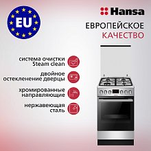 Газовая плита Hansa FCMX582233 серебристая