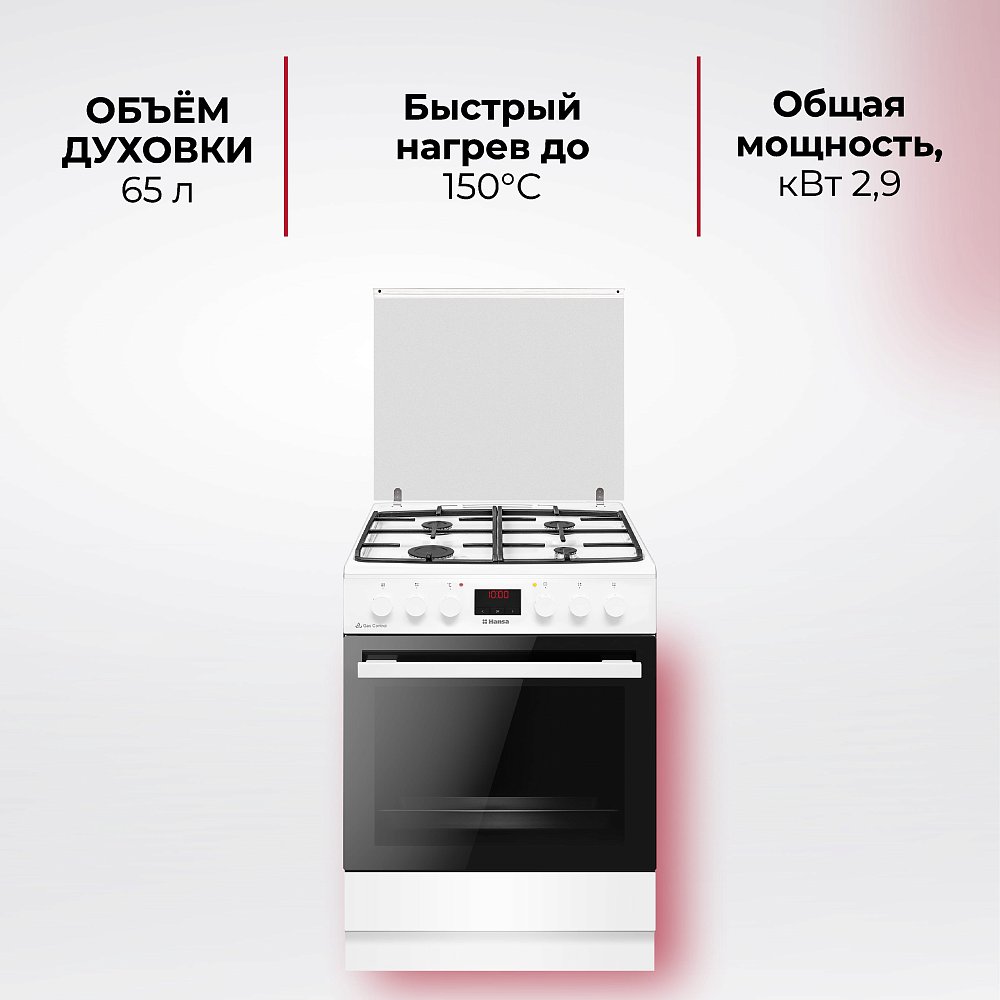 Газовая плита Hansa FCMW682233 - фото 4