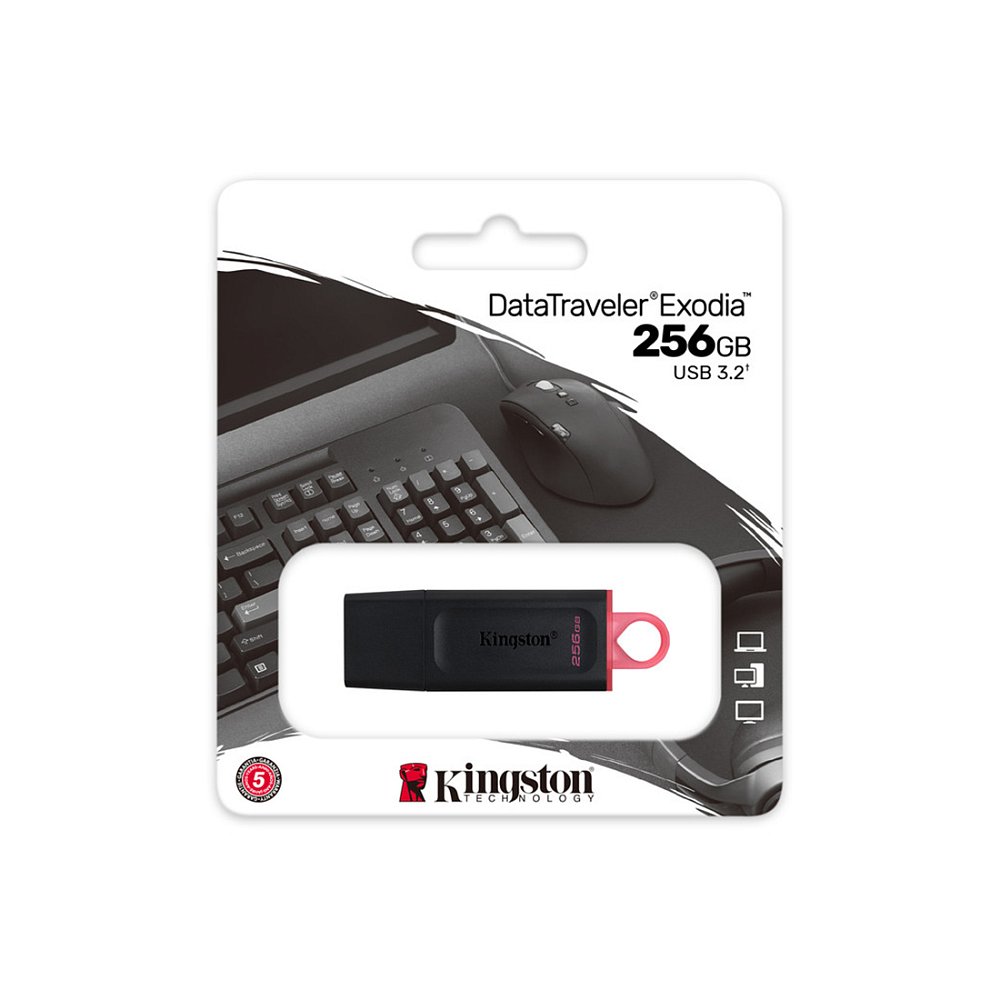USB-накопитель Kingston DTX/256GB 256GB Чёрный - фото 2