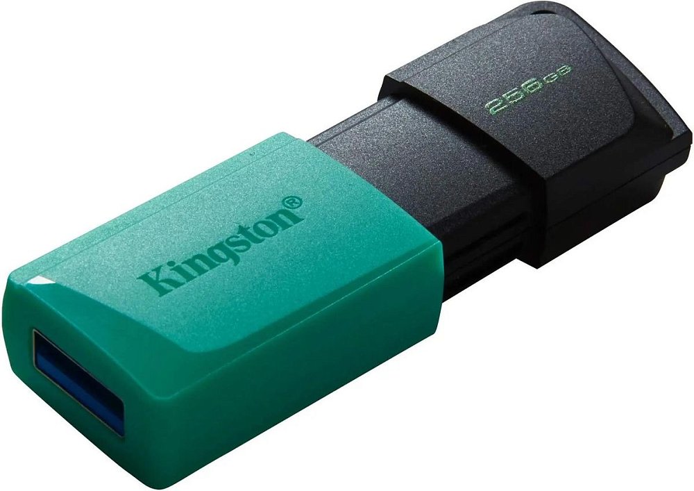 USB Флеш 256GB 3.2 Kingston DTXM/256GB зеленый