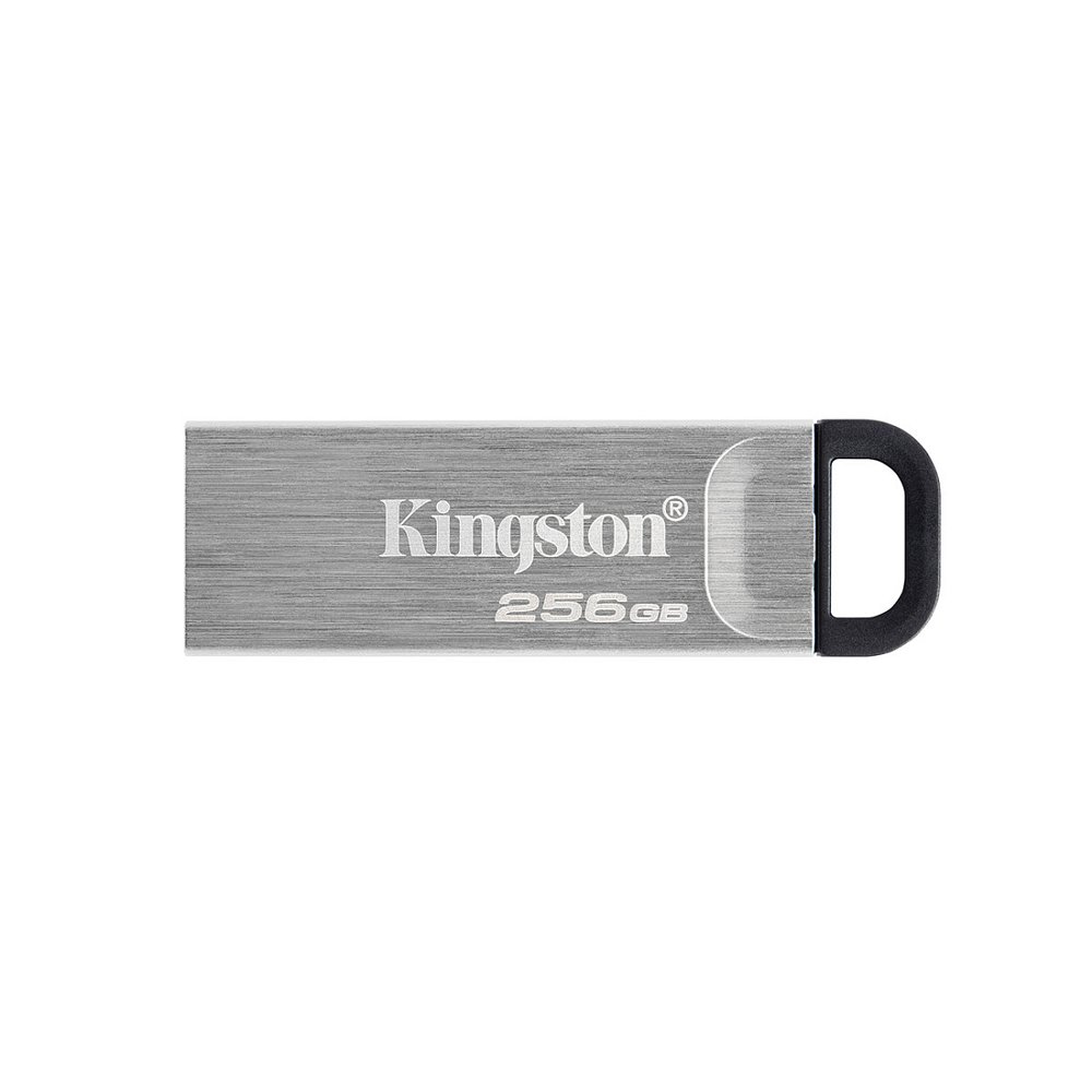 USB-накопитель Kingston DTKN/256GB 256GB Серебристый - фото 3