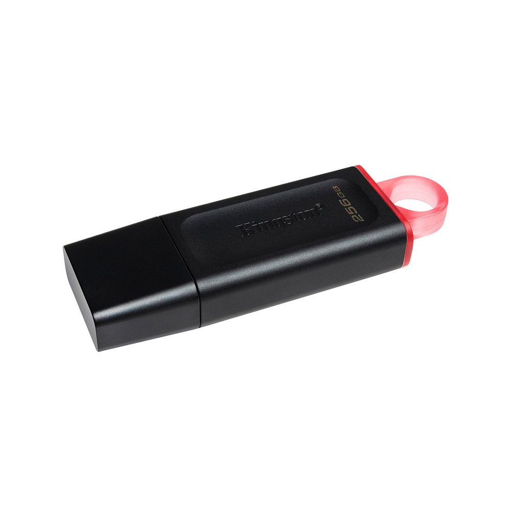 USB-накопитель Kingston DTX/256GB 256GB Чёрный - фото 1