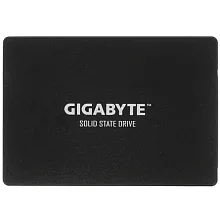 SSD диск Gigabyte GP-GSTFS31256GTND 256Gb SSD диск Gigabyte GP-GSTFS31256GTND 256Gb